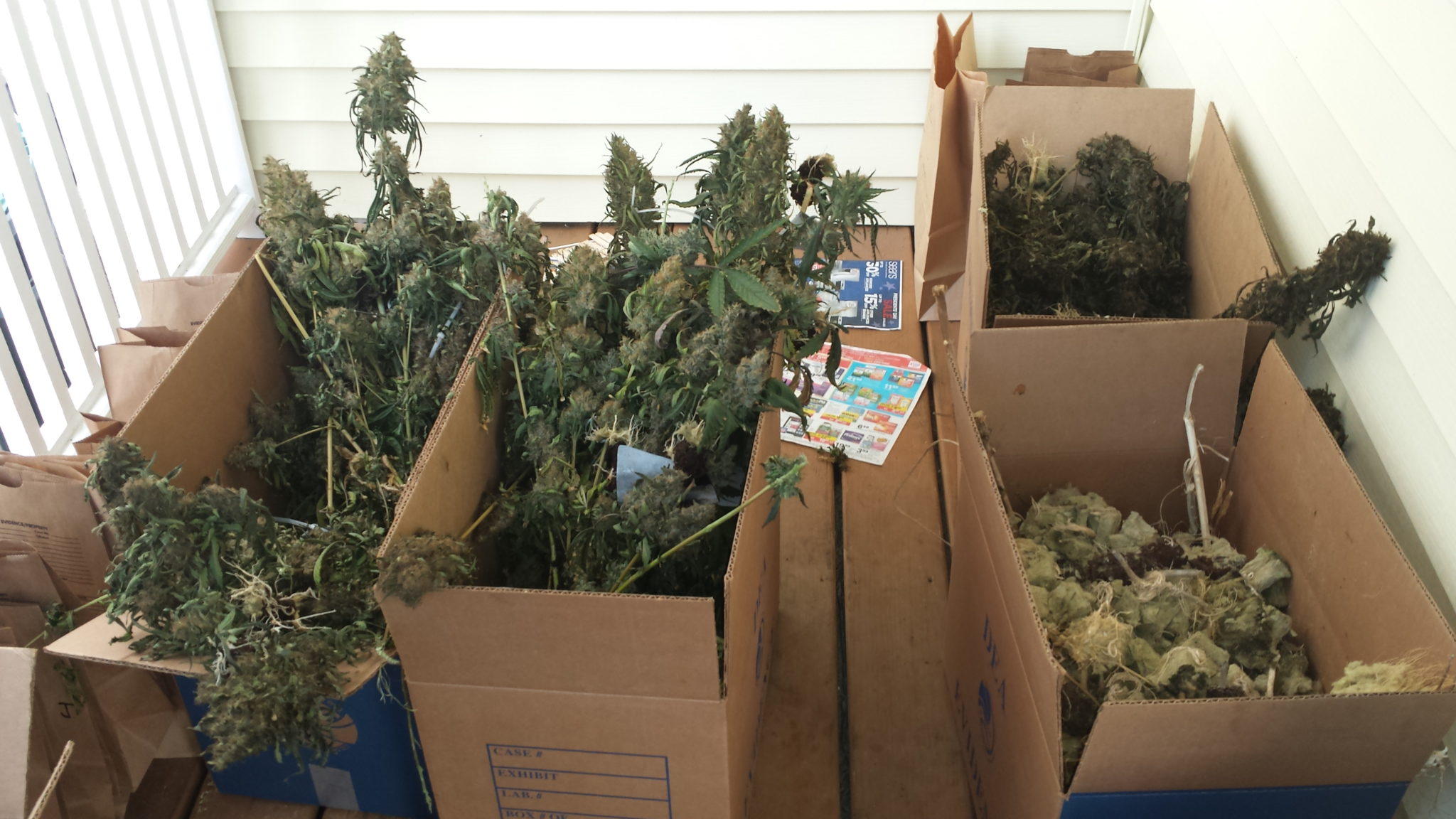 A small sample of the boxes of evidence brought out of the house. (Photo Courtesy of the Stoneham Police Department.