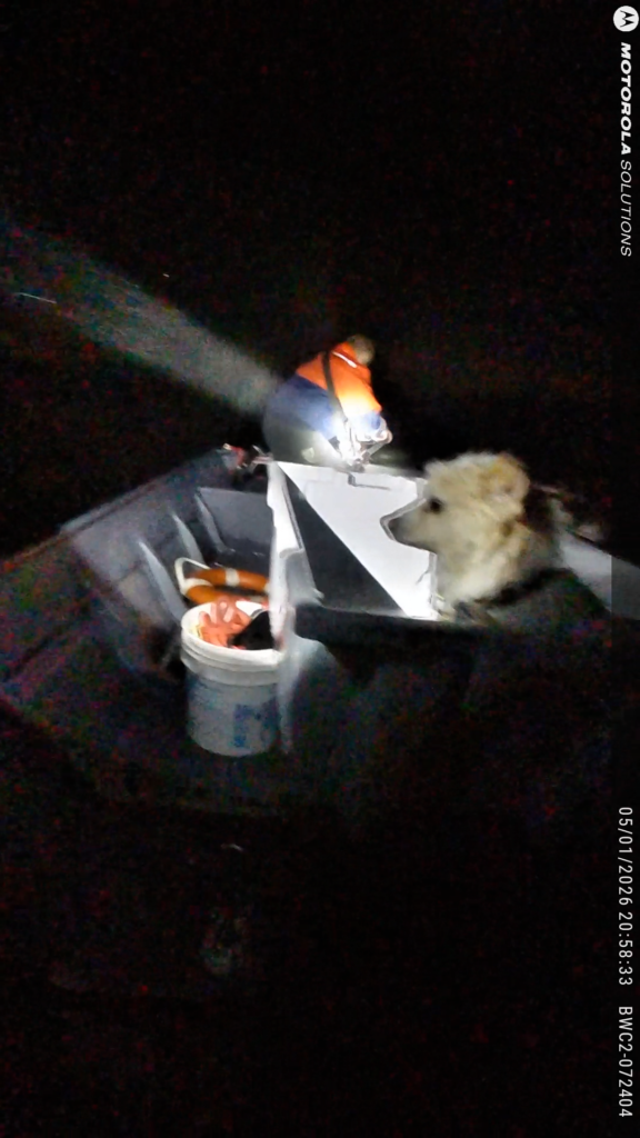 Essex Police and Fire Rescue two people and a dog from a sailboat in the Essex River on May 1, 2026 (Courtesy Photos/Essex Police Department)
